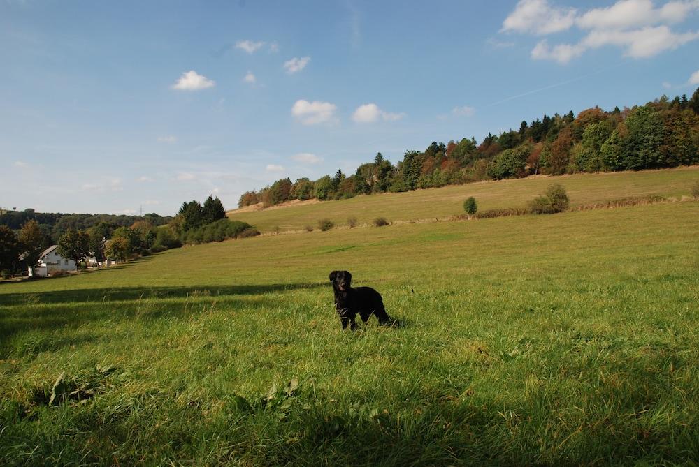 Pension Robin Hood Willingen  Exterior foto