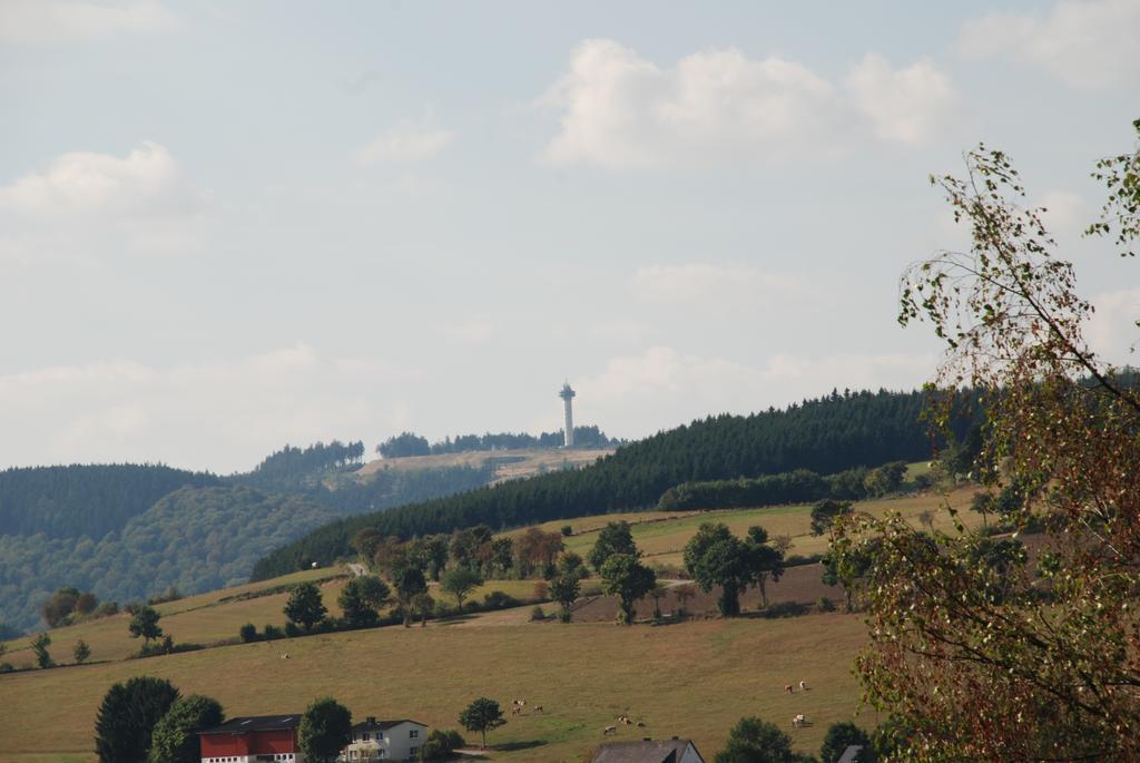 Pension Robin Hood Hotel Willingen  Exterior foto