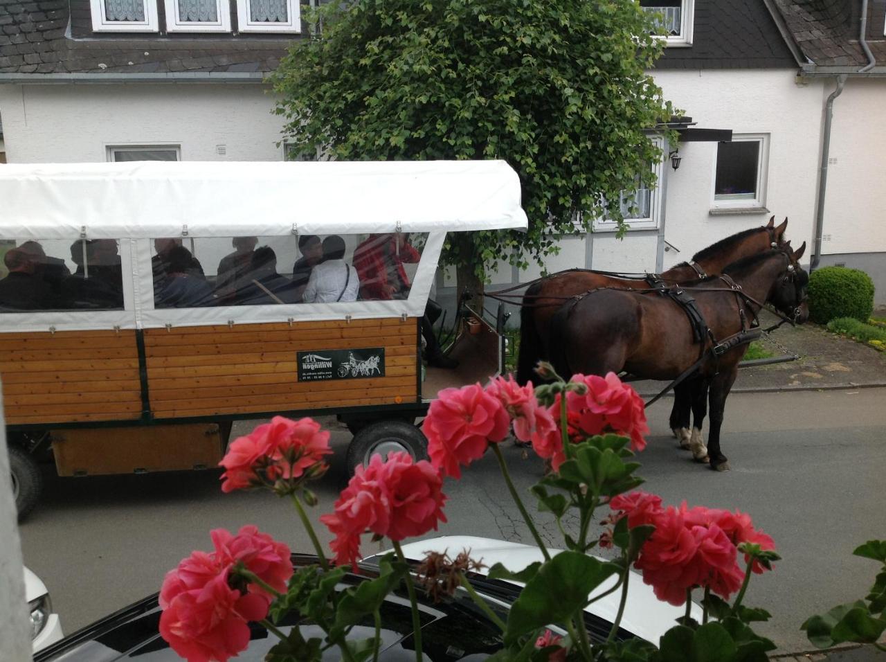 Pension Robin Hood Hotel Willingen  Exterior foto